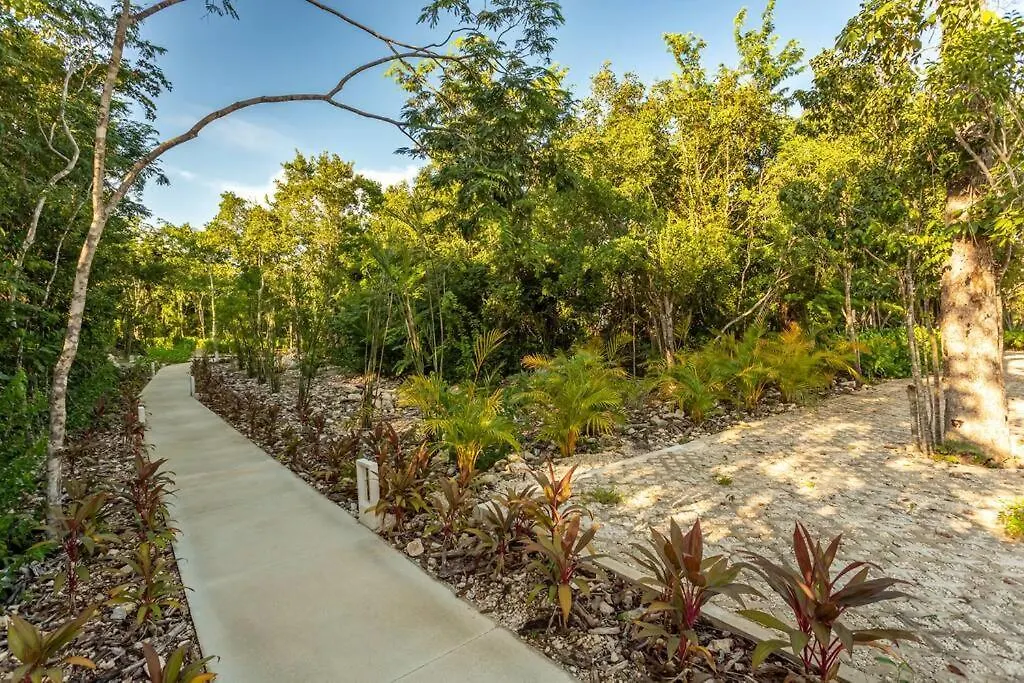 Hermosa Casa En La Selva, Alberca Privada Tulum